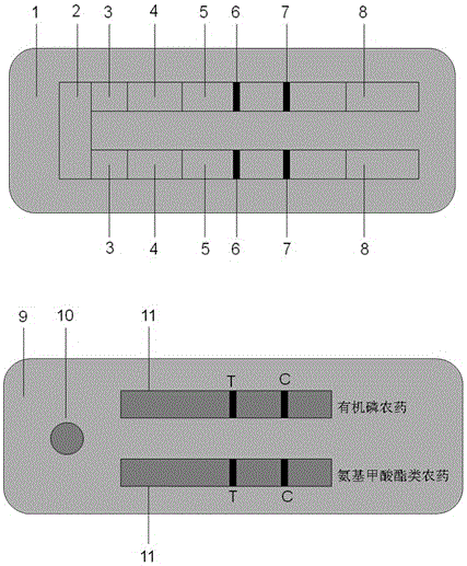 Quick detecting card for immunochromatography of organophosphorus and carbamate pesticide multiresidue cholinesterase