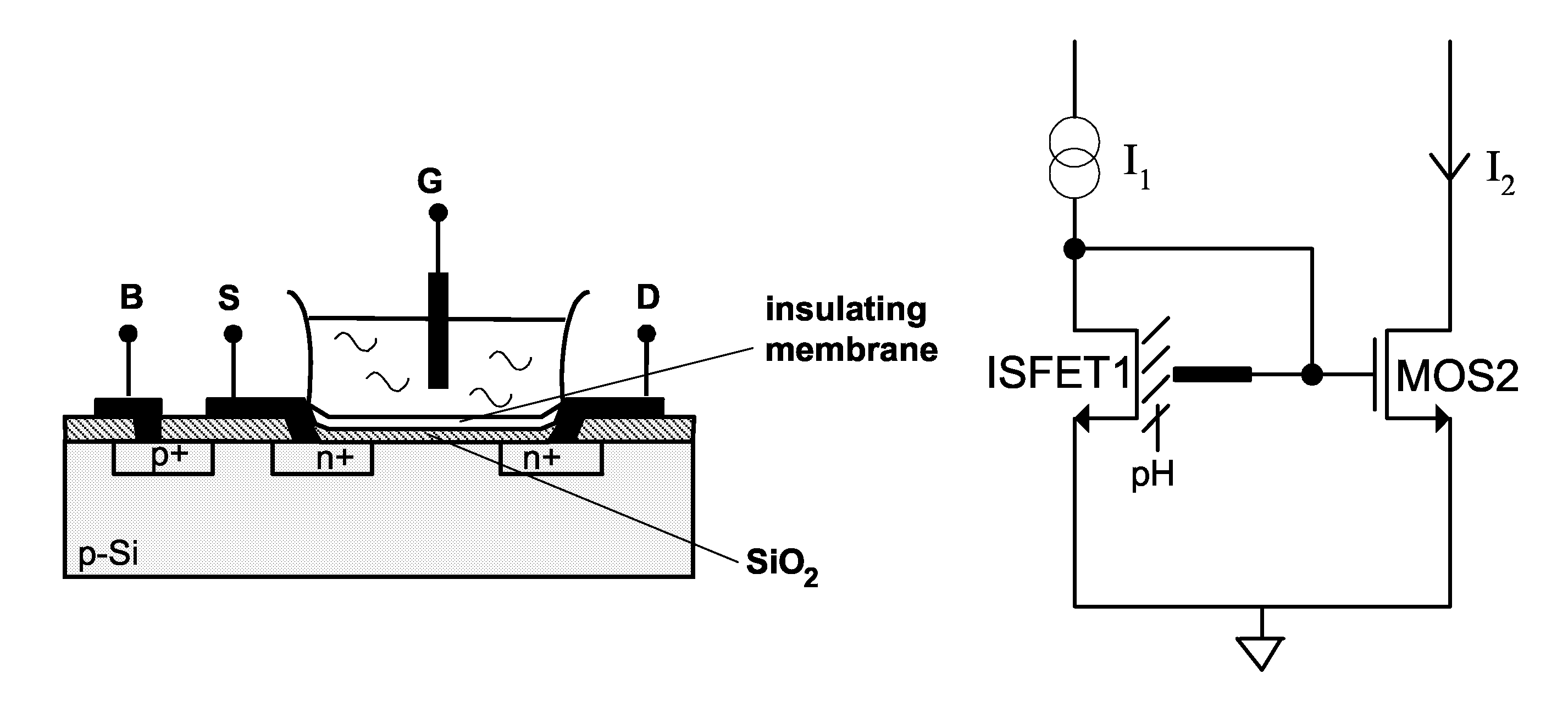 Signal processing circuit comprising ion sensitive field effect transistor and method of monitoring a property of a fluid