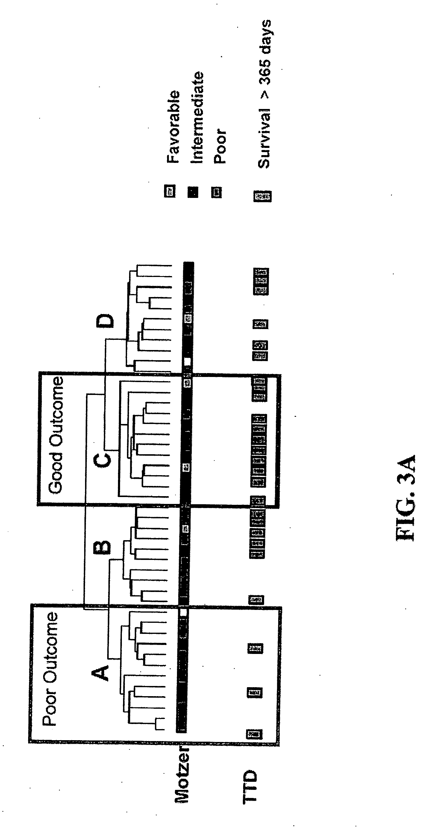 Methods for prognosis and treatment of solid tumors