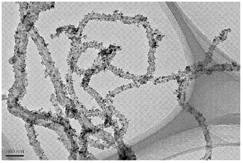 Preparation method of carbon nano tube/polymer/semiconductor nano particle composite material