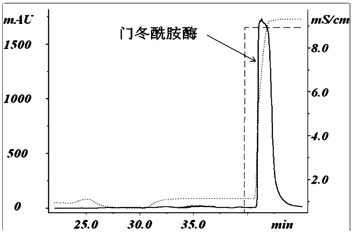 Polyethylene glycol modified protein and method for purification of modified product