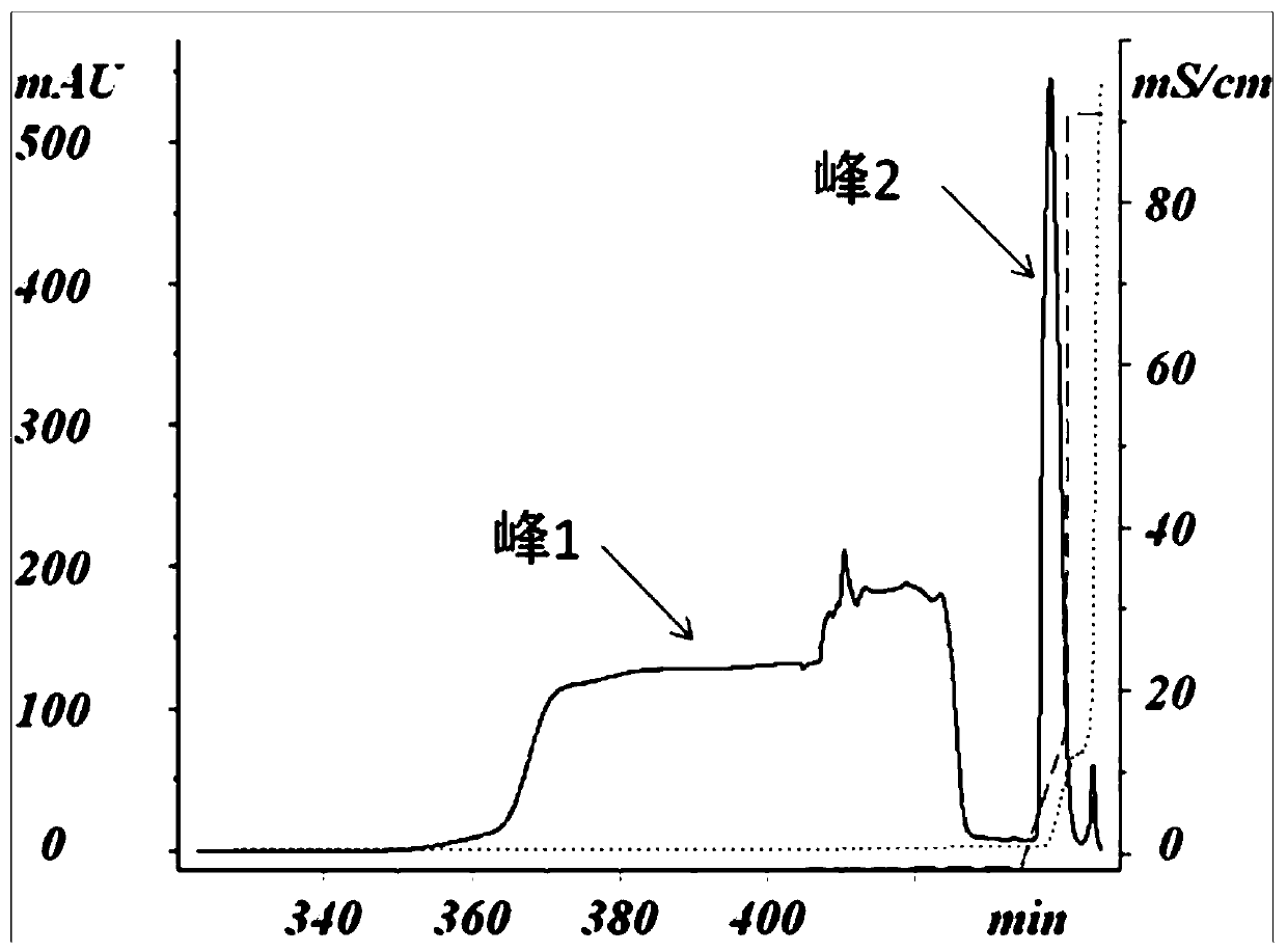 Polyethylene glycol modified protein and method for purification of modified product