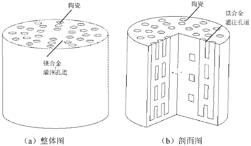 Magnesium alloy/biological ceramic bone bracket based on photocuring and gel casting and forming method of bone bracket