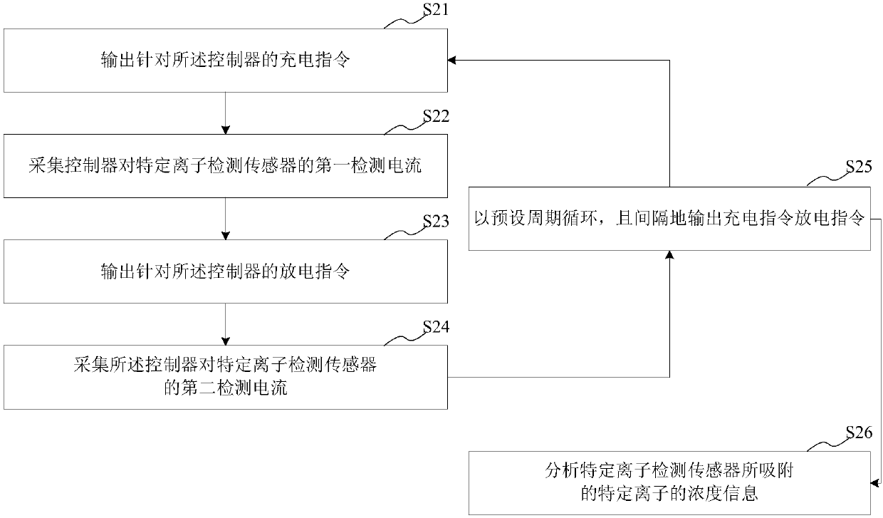 Specific ion detection method and system, computer readable storage medium and equipment