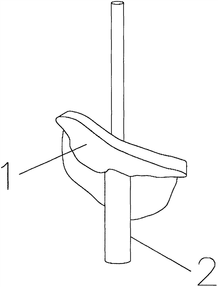 3D printed femoral head necrosis navigation template and construction method thereof and use of navigation template and construction method