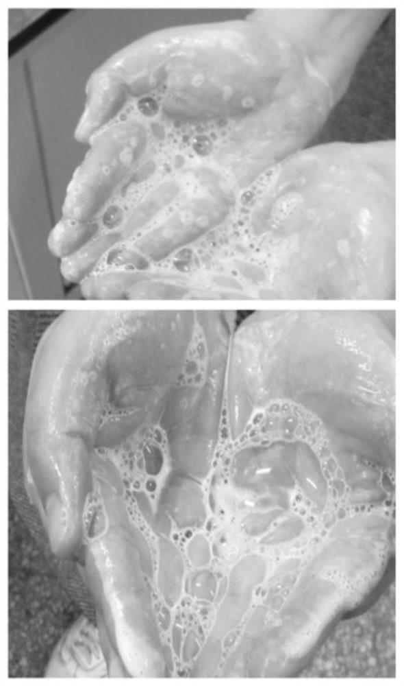 Nourishing, hair-blacking, alopecia-preventing and itching-relieving shampoo containing traditional Chinese medicine effective components and preparation method thereof