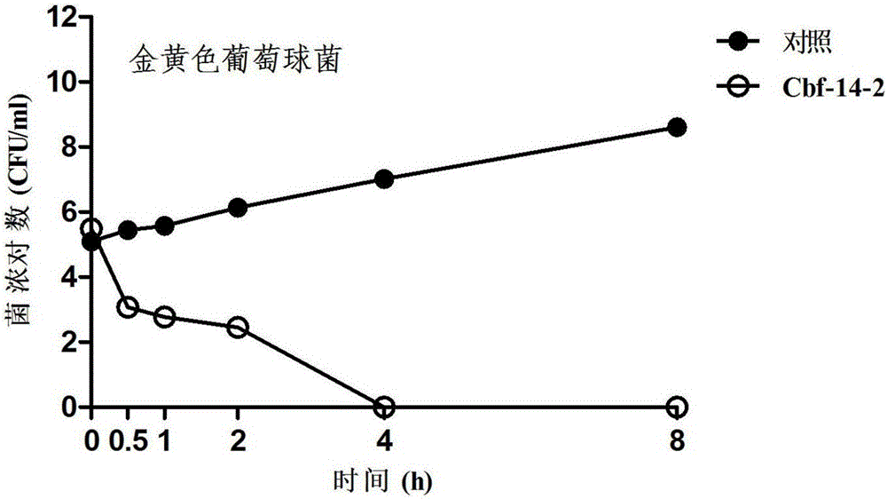 Anti-drug resistant infection polypeptide Cbf-14-2 and application thereof