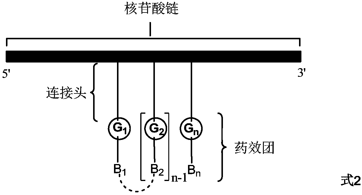 Method for preparing DNA coding compound library, initial head fragment compound and prepared DNA coding compound