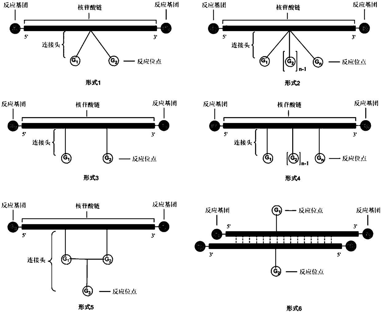 Method for preparing DNA coding compound library, initial head fragment compound and prepared DNA coding compound