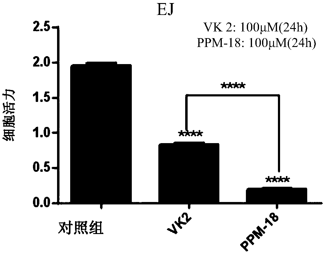 Application of PPM-18 in inducing apoptosis of bladder cancer cells by activating intracellular reactive oxygen species