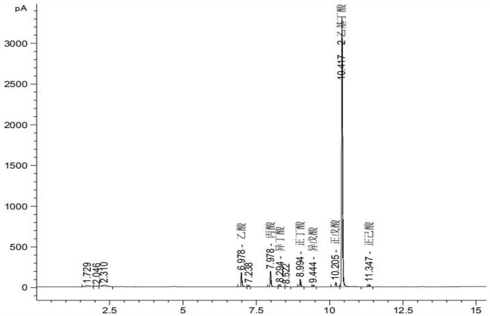 Online detection method for content of short-chain fatty acid in panda excrement based on gas chromatography