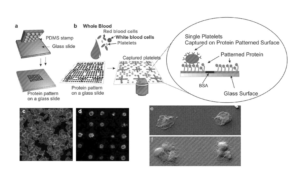 Platelet analysis