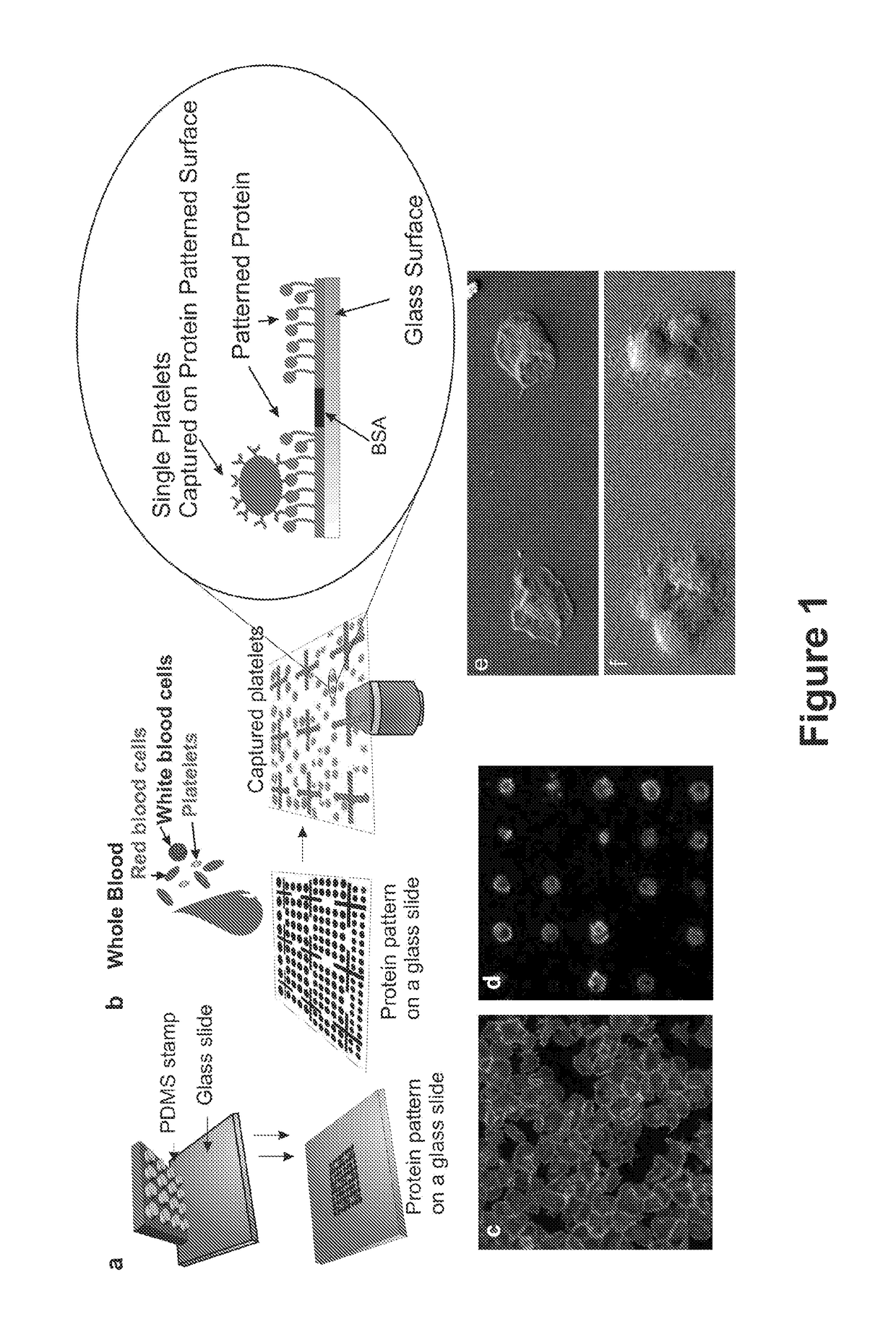 Platelet analysis