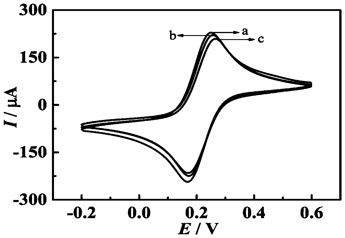 Mercury ion electric sensing analysis and detection method based on excision enzyme III assisted target circulation and subject and object recognition