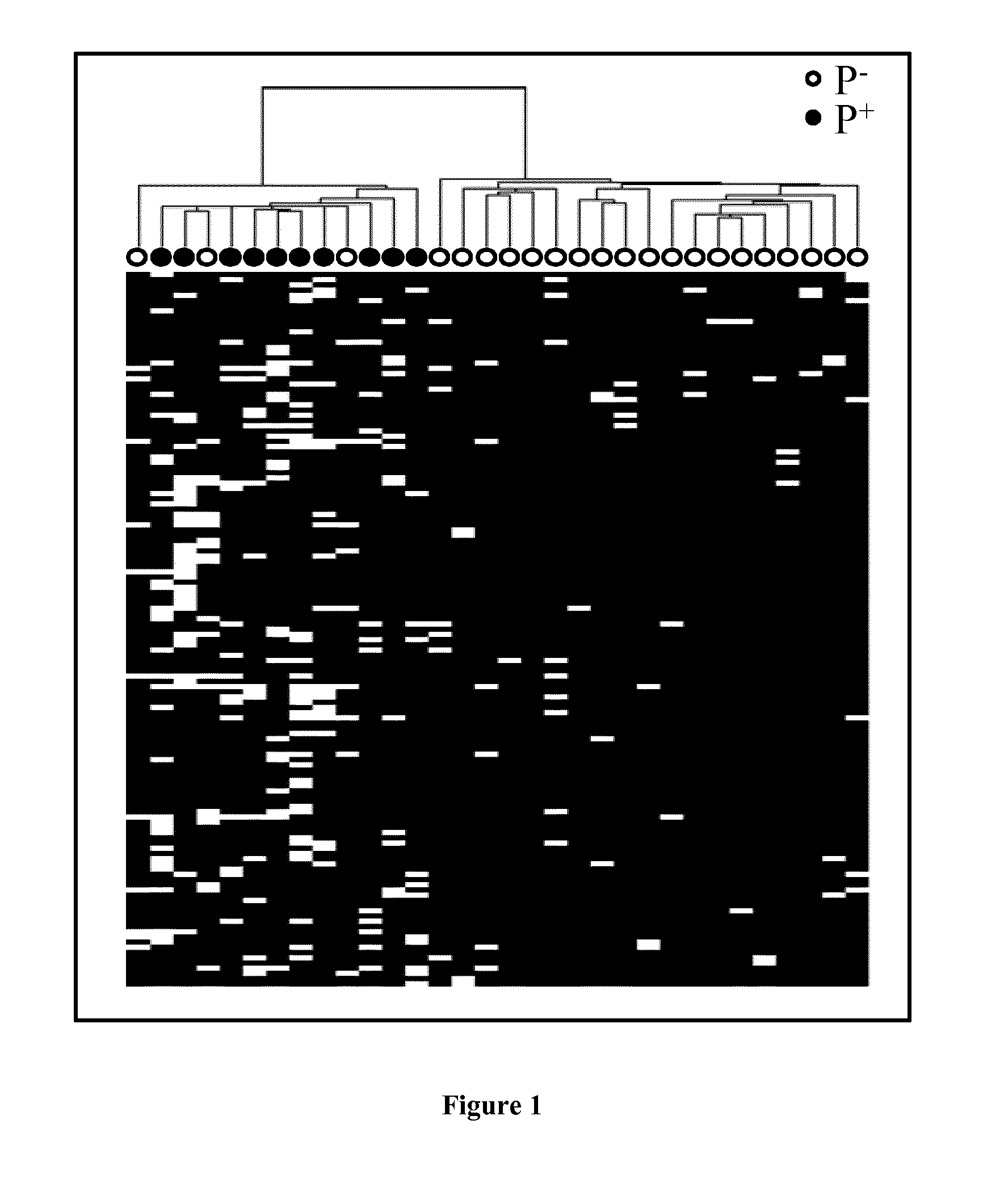 Methods for assessing endometrial receptivity of a patient after controlled ovarian hyperstimulation