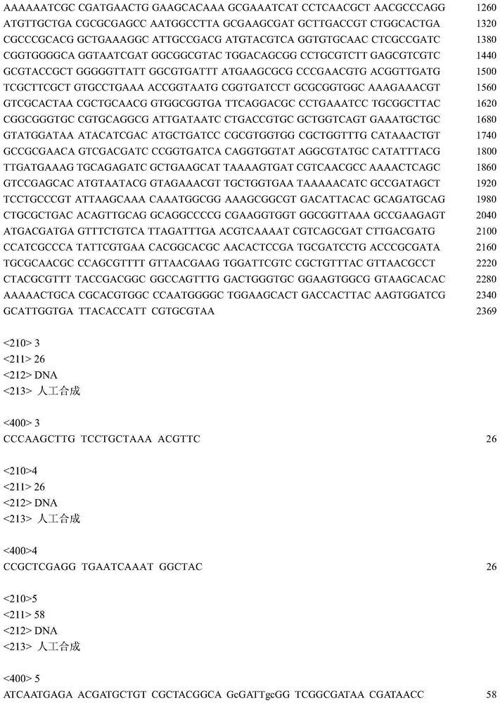 Method for fermentation production of L-proline by utilizing recombinant Escherichia coli