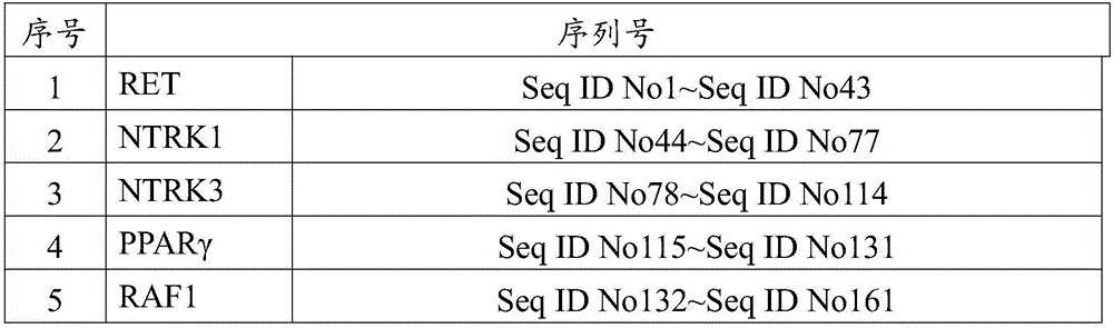 Thyroid cancer pathogenicity-related gene fusion and mutation detection kit