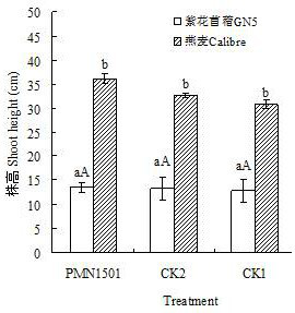 Plant Phosphorus Solubilizing and Nitrogen Fixing Growth-promoting Bacteria and Its Bacterial Agent and Application Used in Rocky Desert Area