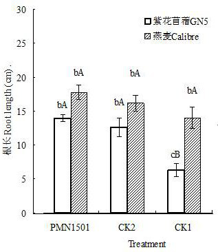 Plant Phosphorus Solubilizing and Nitrogen Fixing Growth-promoting Bacteria and Its Bacterial Agent and Application Used in Rocky Desert Area