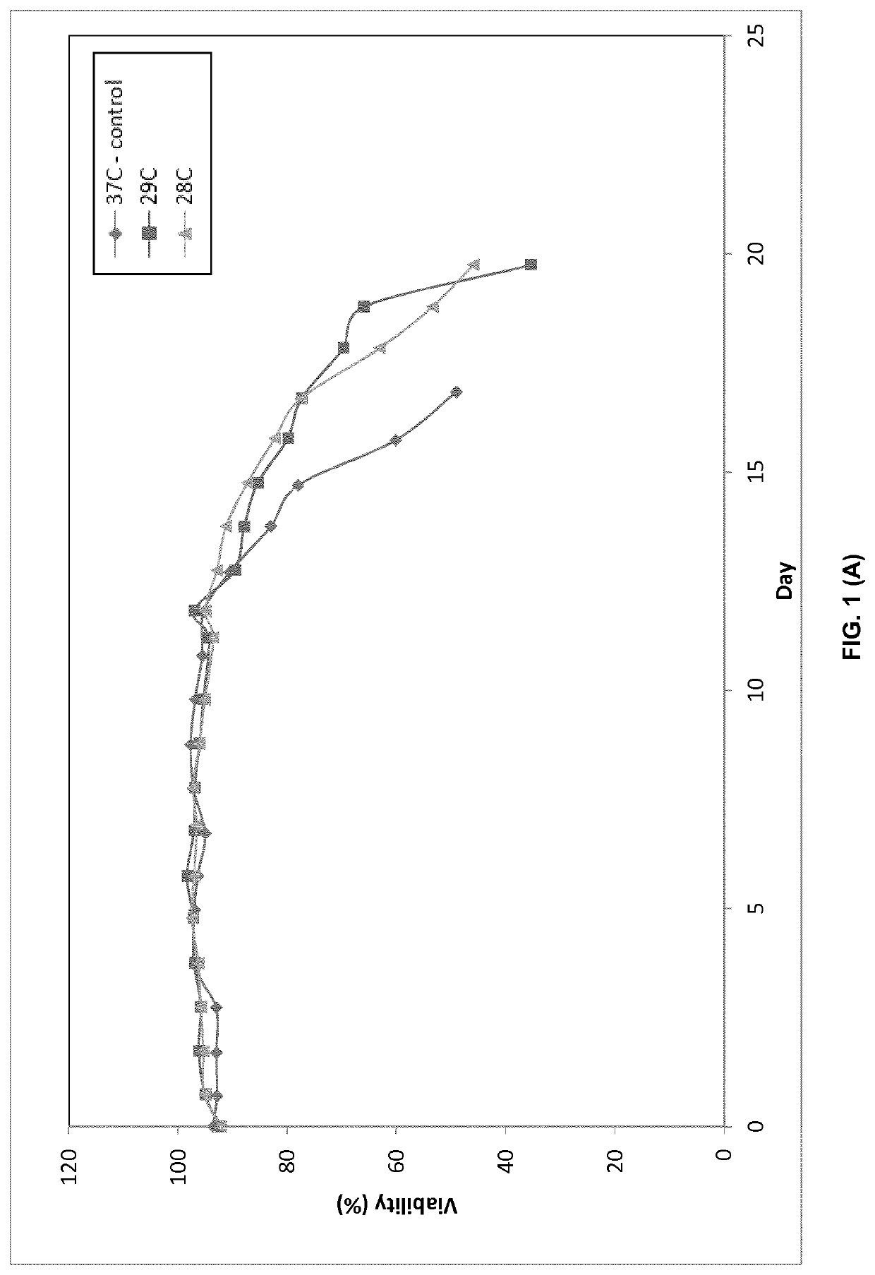 Perfusion medium