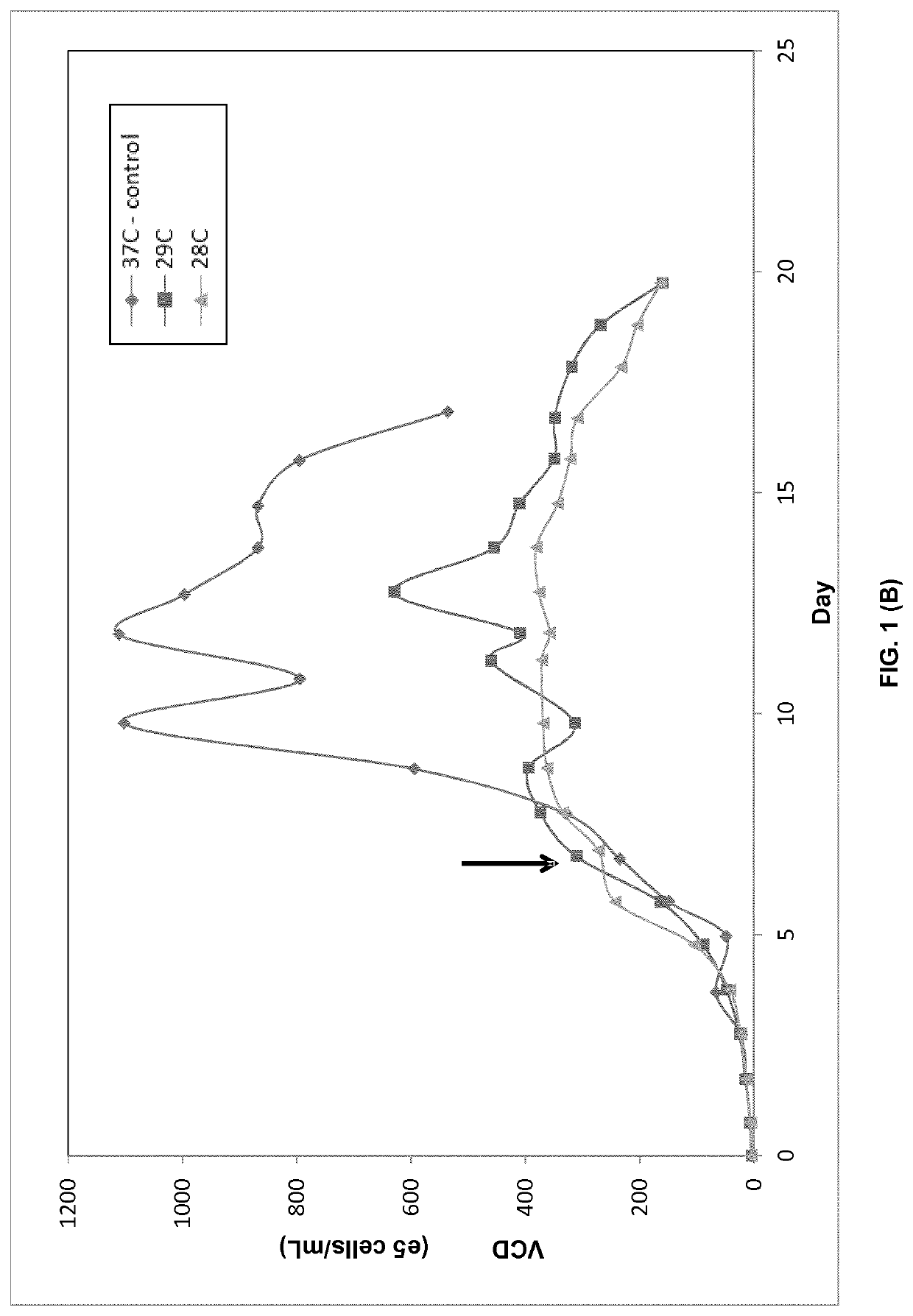 Perfusion medium