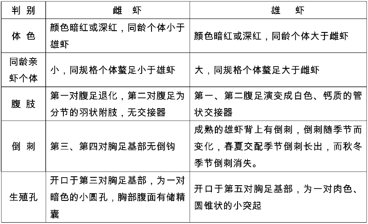 Rice and lobster co-culture method