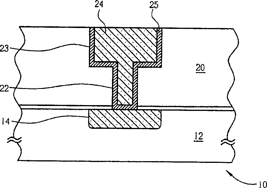 Chemical mechanical polishing technique