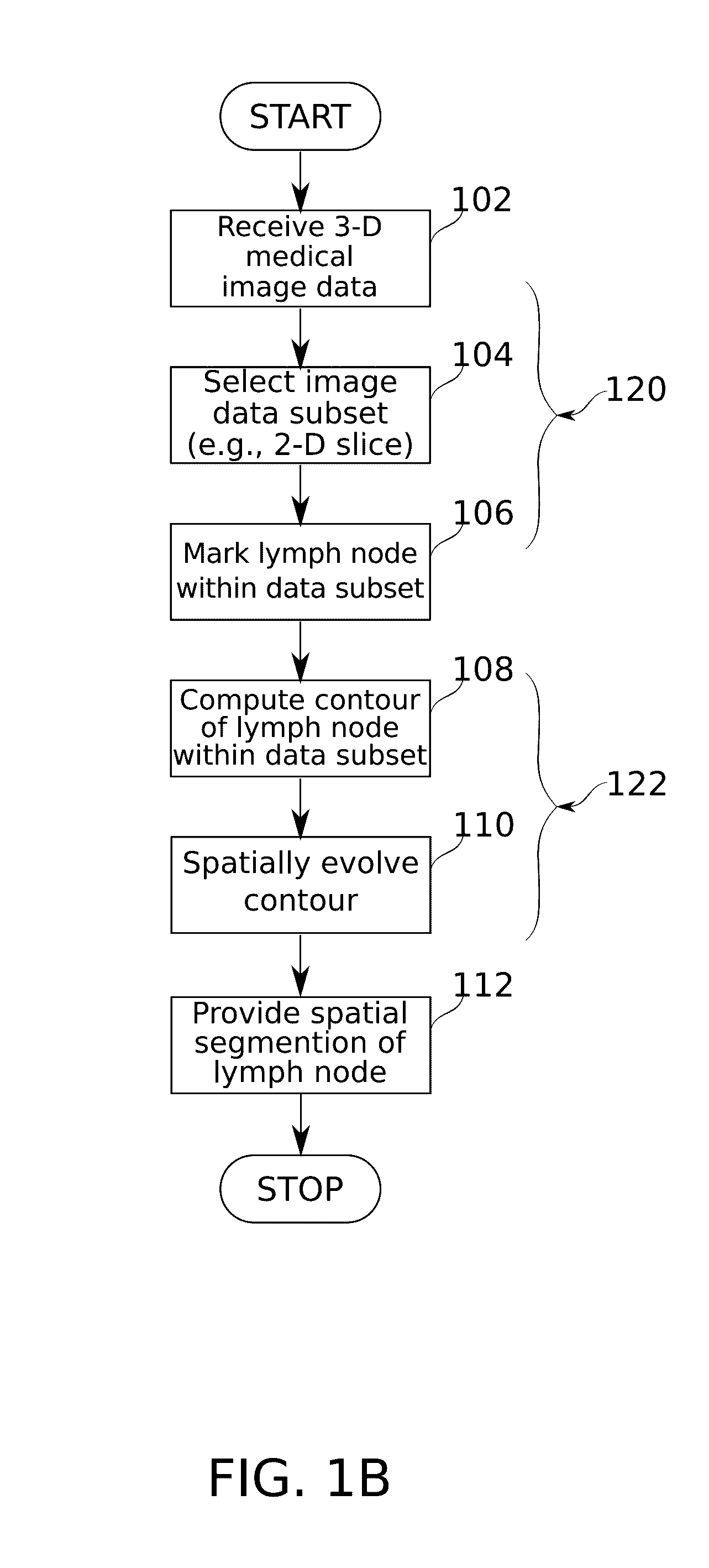 Method and system for spatial segmentation of anatomical structures