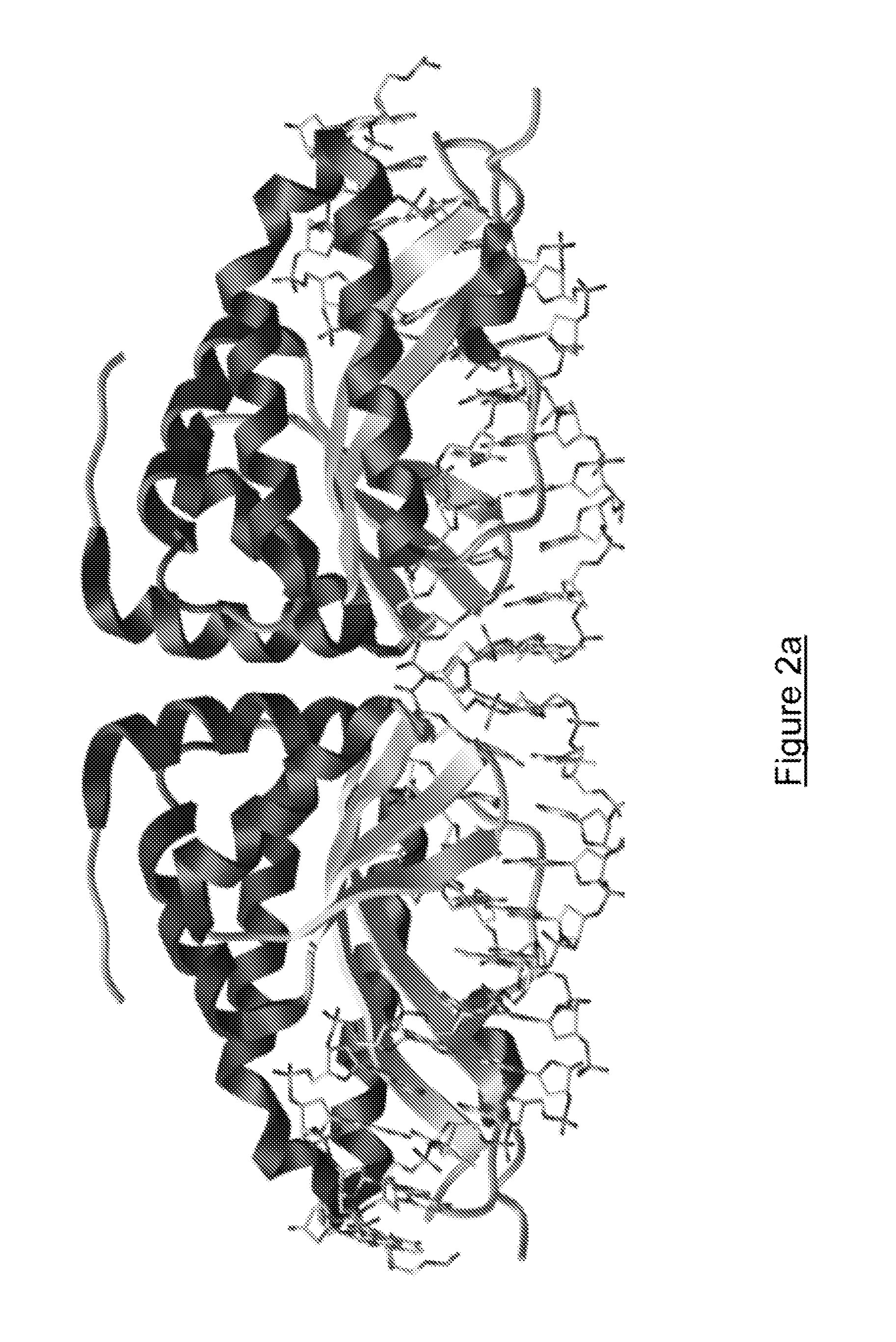 Meganucleases variants cleaving a DNA target sequence in the nanog gene and uses thereof