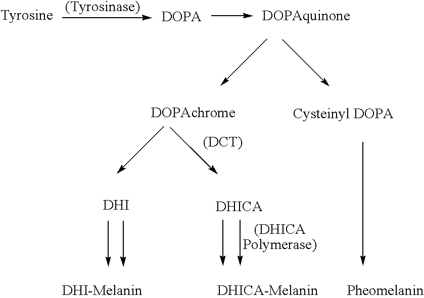 Topical lightening compositions and methods of use