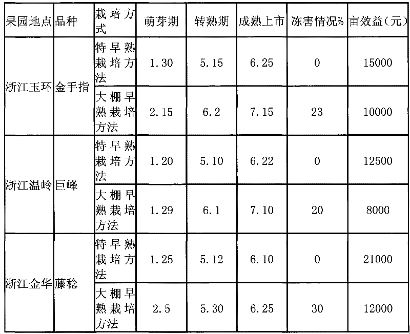 Middle-early grape culturing method for ensuring extremely early maturity, high quality and disaster avoidance