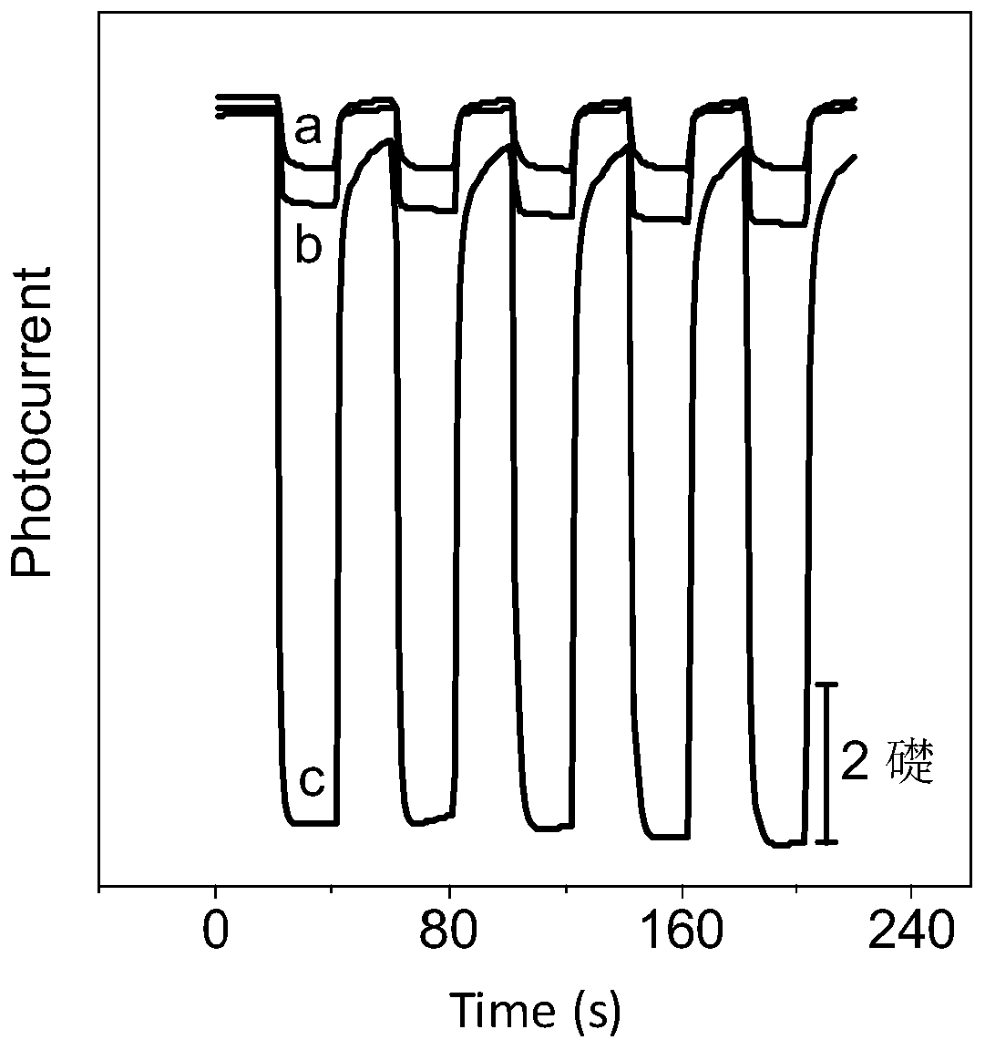 Photoelectrochemical immunosensor for detecting S100B and preparation method thereof, and application of photoelectrochemical immunosensor