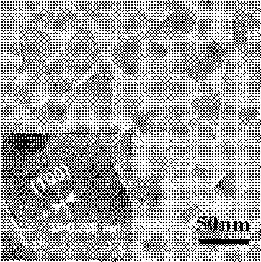 Polyethylene glycol-modified ferrous sulfide magnetic nanometer treatment agent as well as preparation method and application thereof