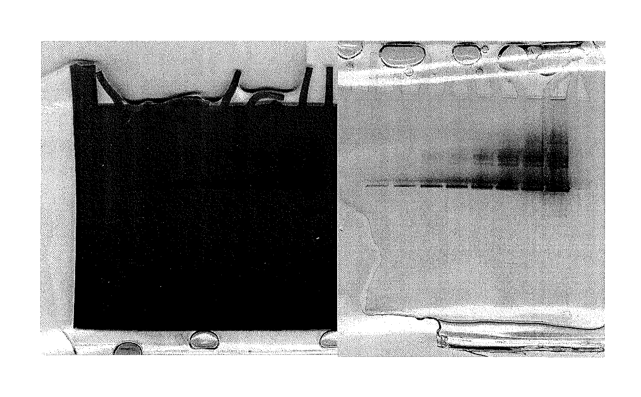 Novel clear native electrophoresis method utilizing aromatic sulfonic acid compound