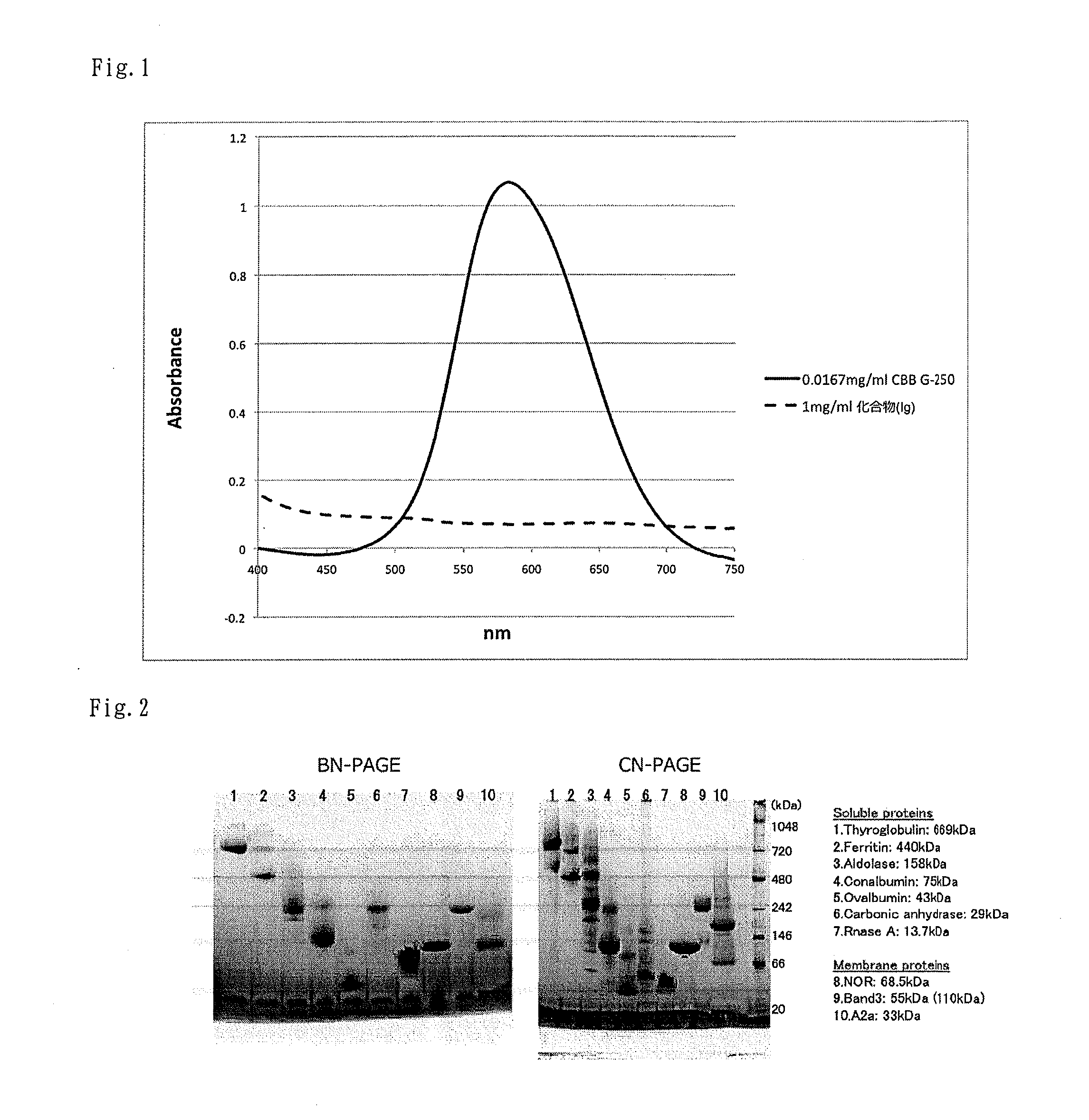 Novel clear native electrophoresis method utilizing aromatic sulfonic acid compound