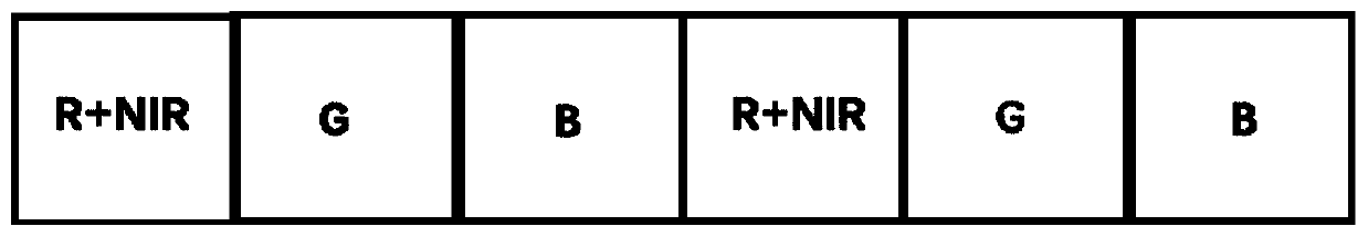 Organic electroluminescent device