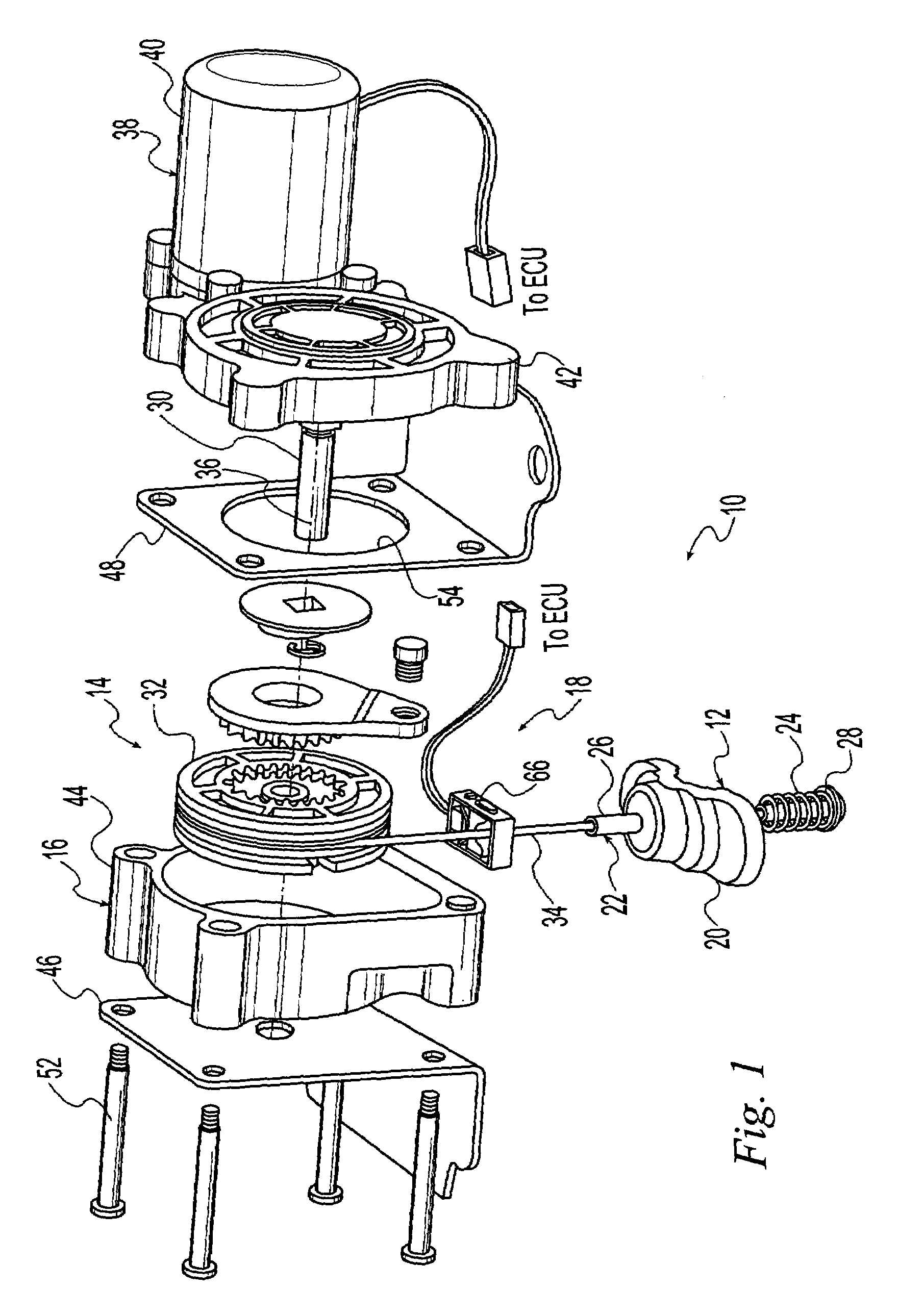 Tire carrier