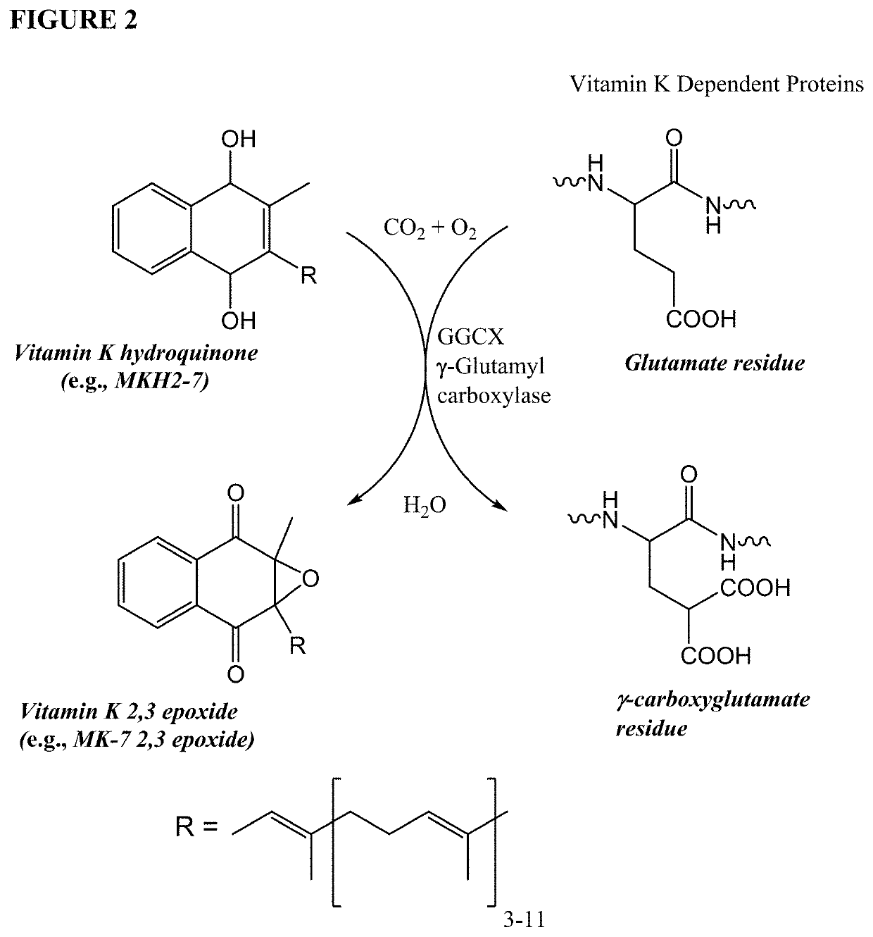 Methods and compositions for preventing or treating calciphylaxis