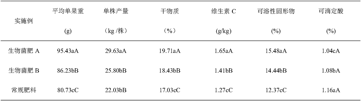 Special microbial fertilizer for Actinidia as well as preparation method and application of special microbial fertilizer