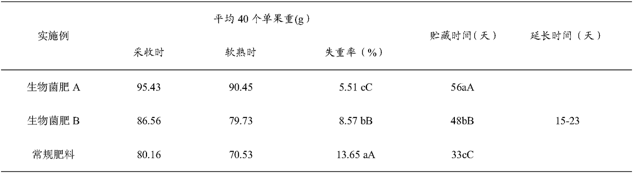 Special microbial fertilizer for Actinidia as well as preparation method and application of special microbial fertilizer