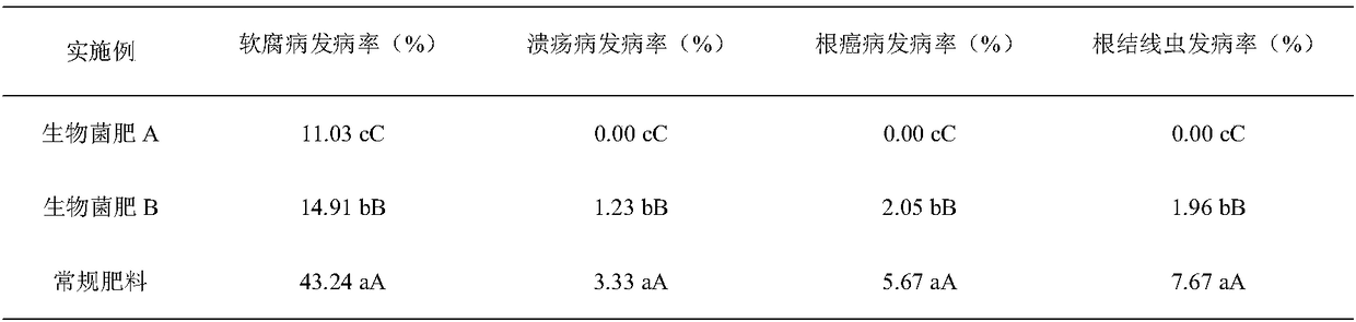 Special microbial fertilizer for Actinidia as well as preparation method and application of special microbial fertilizer