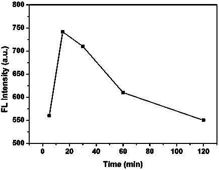 Silver nanocluster fluorescent probe based on polyethyleneimine protection and application thereof in detecting metronidazole