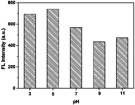 Silver nanocluster fluorescent probe based on polyethyleneimine protection and application thereof in detecting metronidazole