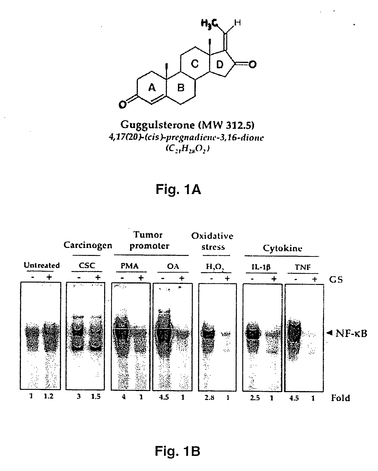 Guggulsterone: an inhibitor of nuclear factor - kappaB and IkappaBalpha kinase activation and uses thereof