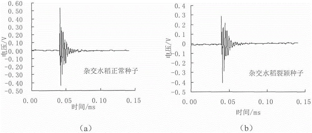 Detection method for hybrid rice glume-split seeds based on acoustic characteristics