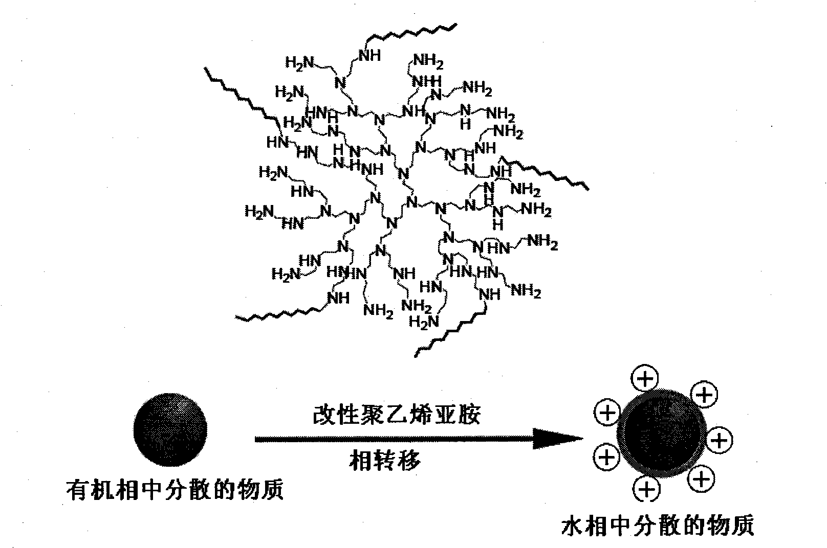 Preparation method of multifunctional nanometer composite particle constructed by modified polymine