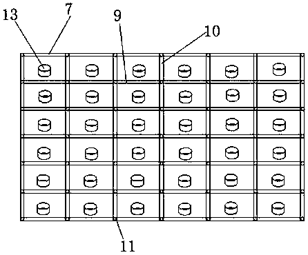 CO2 culture box