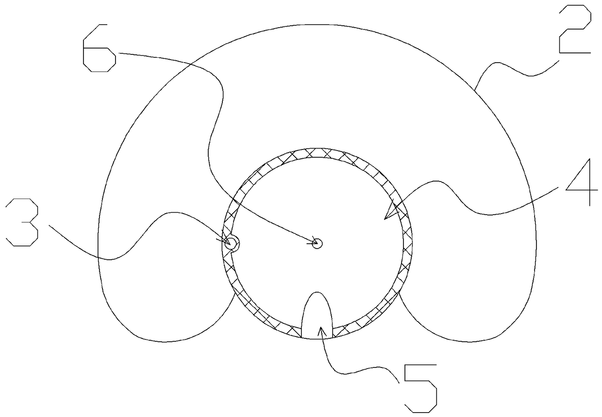 Catheter with expansion bags