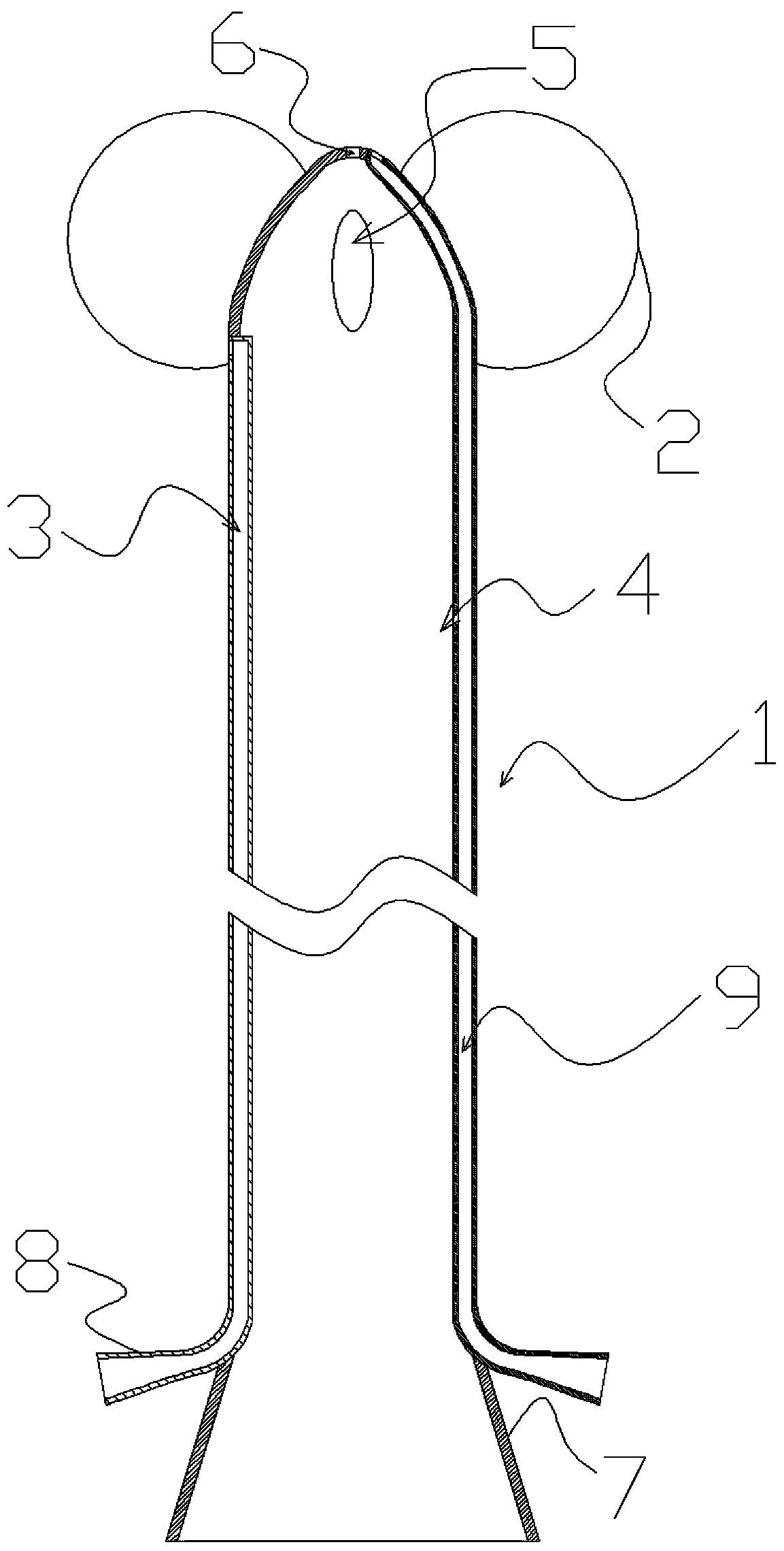 Catheter with expansion bags