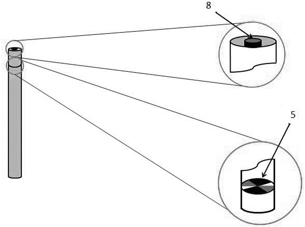 Anesthesia induction box for small animals